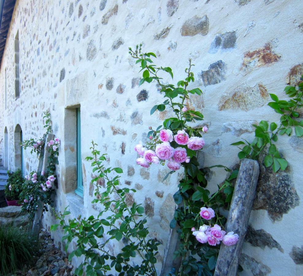 Les 5 Petits Lapins Bed & Breakfast Bar Exterior photo